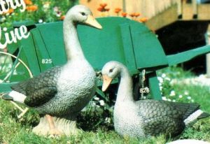 A825q826CountryGeese