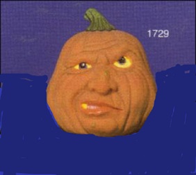 S1729SmallSnarlyPumpkin