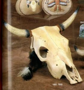 K1682 K1683 Longhorn Skull