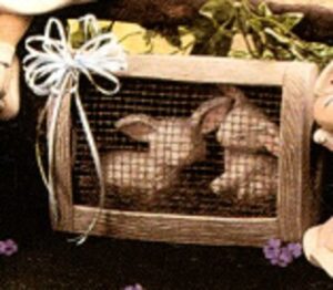 D1170-AA Country Bunnies Set of two