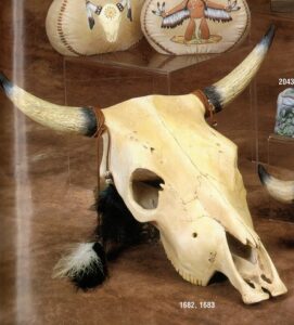 K1682 & 1683 Big Longhorn Skull 16.5" Bisque $43.50 pr23