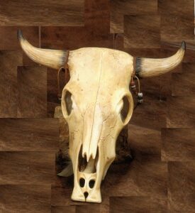 K1684 & K1685 Medium Longhorn Skull 13"L Bisque $25.20 pr23