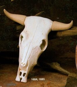 K1684&K1685 Med longhorn skull