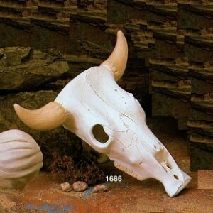 K1686 Small longhorn skull 10"L Bisque $22.20 pr23